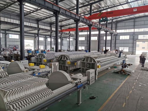 真空帶式壓濾機 畜牧糞污高效脫水技術與設備開發(fā)